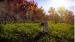 Animal Shelter 2 Steam АККАУНТ НОВЫЙ+ПОЧТА - irongamers.ru