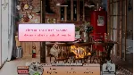 I Love Finding Cats Collector&acute;s Edition Xbox One|X|S - irongamers.ru