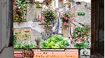 I Love Finding Cats Collector&acute;s Edition Xbox One|X|S - irongamers.ru