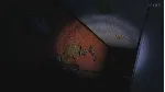 Five Nights at Freddy&acute;s 4 Xbox One|X|S & PC - irongamers.ru