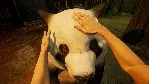 Zoochosis Xbox One & Xbox Series X|S - irongamers.ru