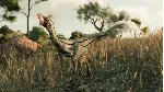 Комплект «Господство» для Jurassic World Evolut Xbox&PC - irongamers.ru