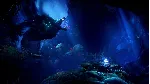 Ori and the Will of the Wisps Xbox One|X|S & PC - irongamers.ru