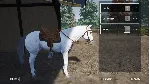 Моя жизнь: ветеринар на ферме Xbox One|X|S & PC - irongamers.ru