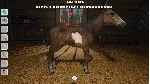 Моя жизнь: ветеринар на ферме Xbox One|X|S & PC - irongamers.ru