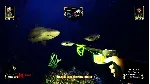 Freediving Hunter: Spearfishing the World Xbox One|X|S - irongamers.ru