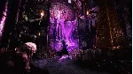 ✅ ❤ ️THE BARD'S TALE IV: DIRECTOR'S CUT❤ ️XBOX|XS+PC🔑 КЛЮЧ