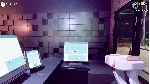 Sex Shop Simulator: X-RAY DESIRE АВТОДОСТАВКА STEAM РОССИЯ - irongamers.ru