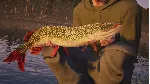 ✅ Fishing Sim World: Pro Tour + Quad Lake Pass Xbox