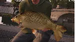✅ Fishing Sim World: Pro Tour + Quad Lake Pass Xbox
