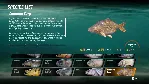 ✅ Fishing Sim World: Pro Tour + The Catch: Carp &  Xbox