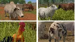 ✅ Farming Simulator 17 - Platinum Edition Xbox
