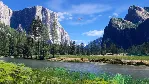 ✅ Microsoft Flight Simulator 2024 - Aviator Editio Xbox