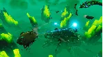 ✅ Bulwark Evolution : Falconeer Chronicles - Mad L Xbox