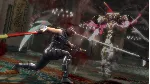 NINJA GAIDEN: Master Collection Deluxe Edition Xbox - irongamers.ru