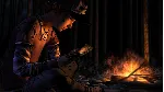 The Walking Dead: Season Two СТИМ Steam Gift