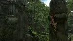 Tomb Raider: Underworld СТИМ Steam Gift
