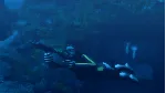 Tomb Raider: Underworld СТИМ Steam Gift