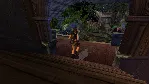 Tomb Raider VI: The Angel of Darkness СТИМ Steam Gift