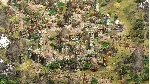 Age of Empires II: DE - The Last Chieftains DLC · RU - irongamers.ru