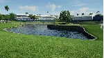 ✅ Издание PGA TOUR 2K25 Pro Edition Xbox активация