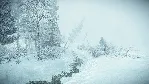 ✅ ❤ ️KONA❤ ️XBOX ONE|XS🔑 КЛЮЧ✅ 
