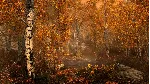 The Elder Scrolls V: Skyrim Special Edition - Steam Gif - irongamers.ru