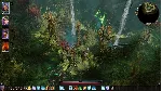 Divinity: Original Sin 2 - Eternal Edition - Steam Gift - irongamers.ru