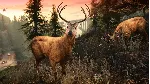 Grand Theft Auto V Enhanced & Great White Shark Card - - irongamers.ru