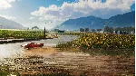 The Crew Motorfest Deluxe Edition - Steam Gift