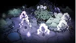Don't Starve Together - Steam Gift