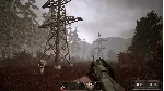 MISERY - Steam Gift