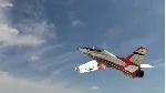 RealFlight Evolution: Upgrade from RealFlight 9.5 - Ste - irongamers.ru