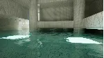 Backrooms: Escape Together - Steam Gift