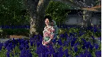Sengoku Dynasty - Steam Gift