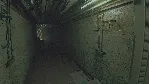 Routine - Steam Gift