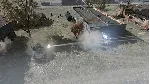 Terminator: Dark Fate - Defiance - Steam Gift
