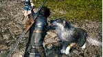 FINAL FANTASY XVI COMPLETE EDITION - Steam Gift - irongamers.ru