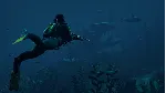 Rust - Steam Gift