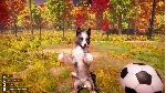 Animal Shelter 2 - Steam Gift - irongamers.ru