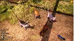 Animal Shelter 2 - Steam Gift - irongamers.ru