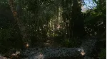 Crysis Remastered - Steam Gift