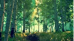Firewatch - Steam Gift