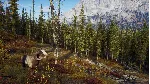✅ WAY OF THE HUNTER ULTIMATE EDITION❤ ️XBOX|XS🔑 КЛЮЧ