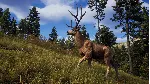 ✅ WAY OF THE HUNTER ULTIMATE EDITION❤ ️XBOX|XS🔑 КЛЮЧ
