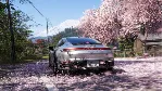 Forza Horizon 6 Premium Edition STEAM GIFT AUTO RU+МИР - irongamers.ru