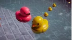 ✅ More Ducks Everywhere Xbox One|X|S активация
