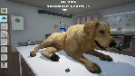 Моя ветеринарная клиника Xbox One|X|S & PC - irongamers.ru