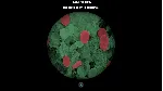 Моя ветеринарная клиника Xbox One|X|S & PC - irongamers.ru
