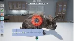 Моя ветеринарная клиника Xbox One|X|S & PC - irongamers.ru